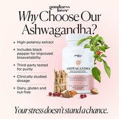Scoop with Goodness Lover Ashwagandha shows easy dosage for consistent use.