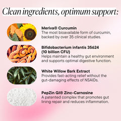 Goodness Lover Inflammation Pro gut health scene for everyday digestive comfort
