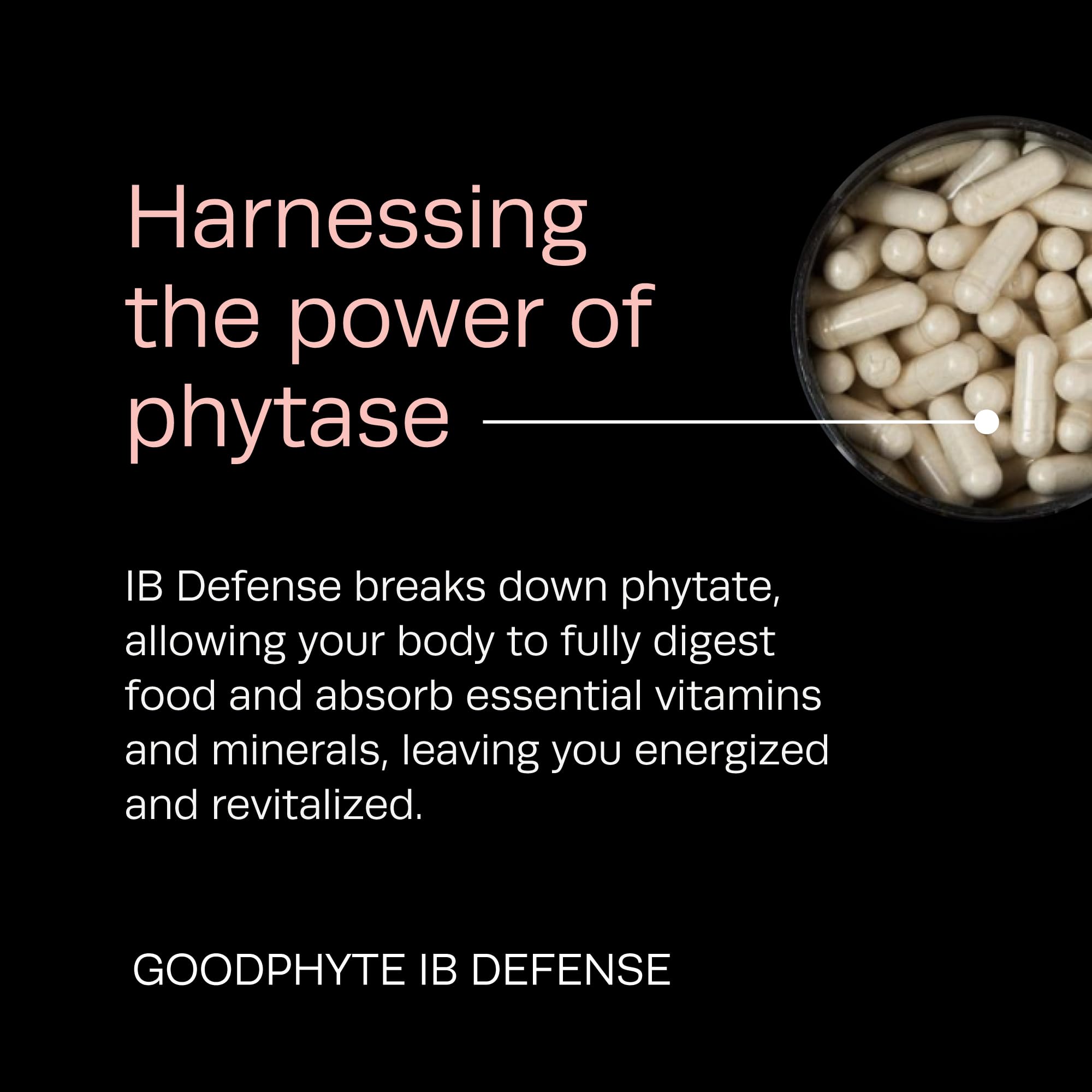 Goodphyte Immune support nutrients diagram highlighting minerals.