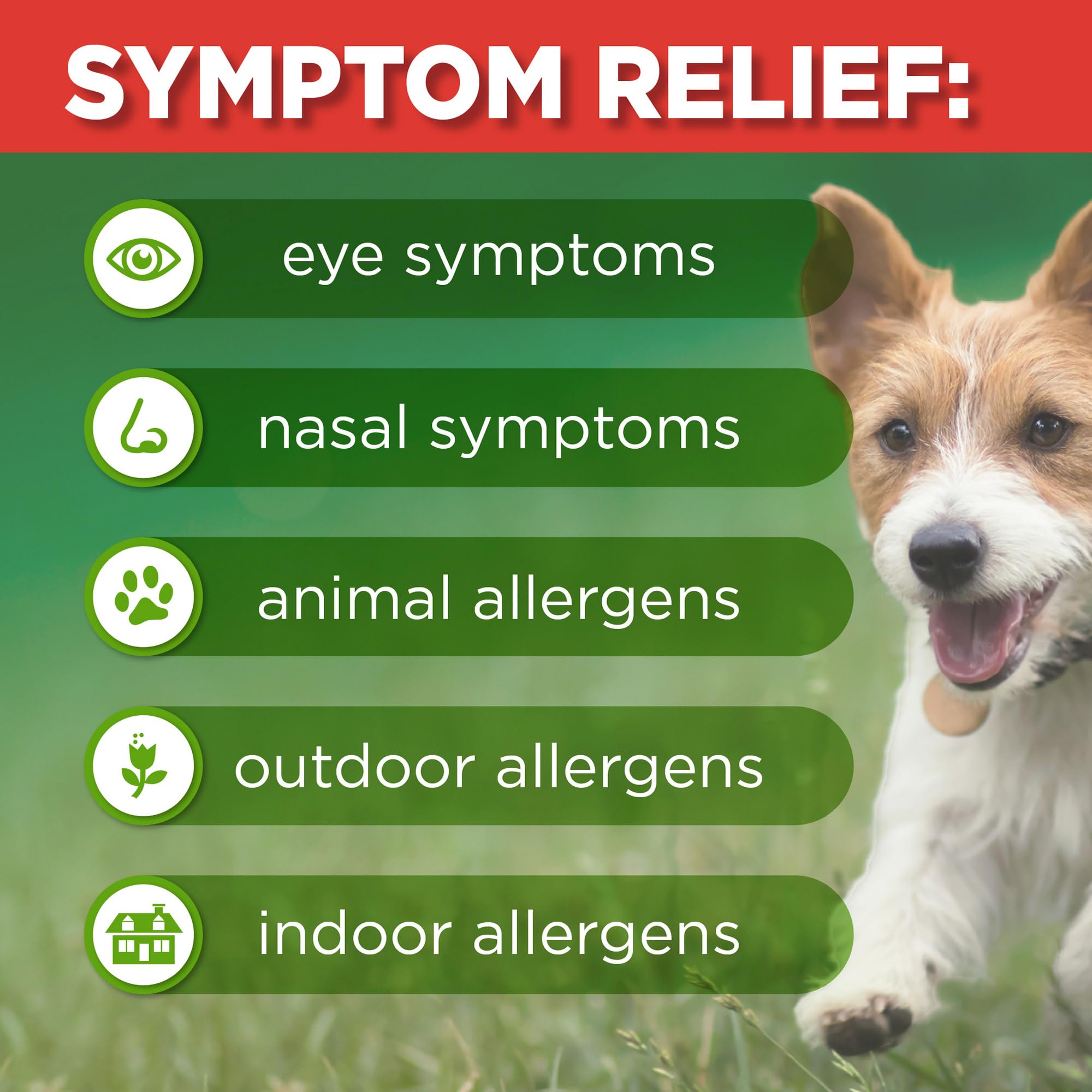 GoodSense Fluticasone nasal spray packaging and bottle ready for daily use.