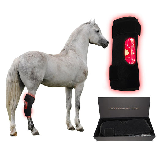 GOURIXIN LED red light therapy knee wrap in use on a horse for joint comfort.