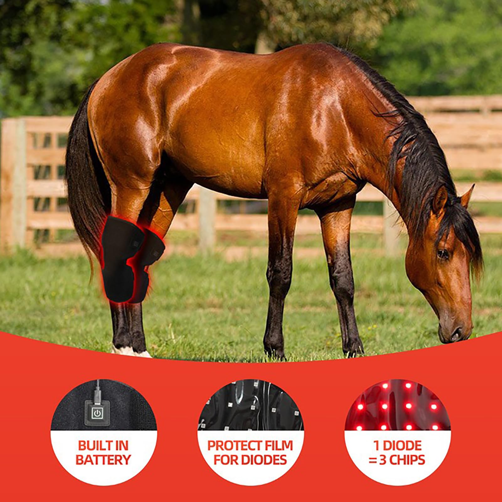 GOURIXIN portable equine therapy wrap with battery for on-the-go relief.