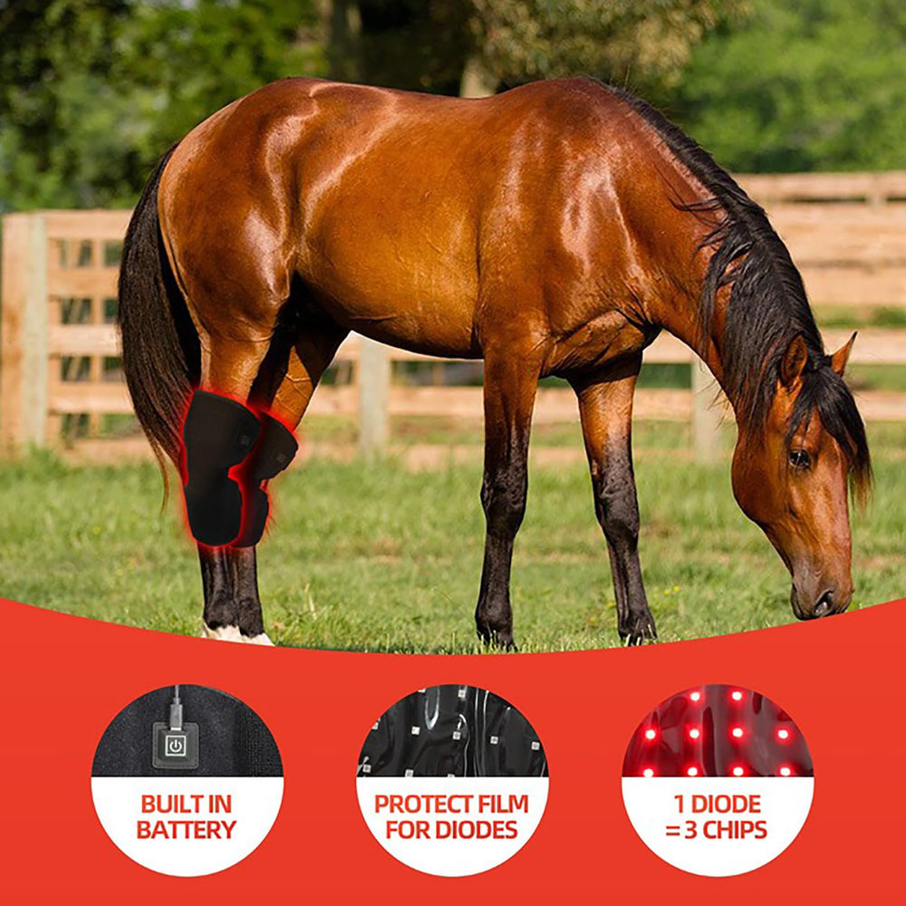 GOURIXIN portable equine therapy wrap with battery for on-the-go relief.