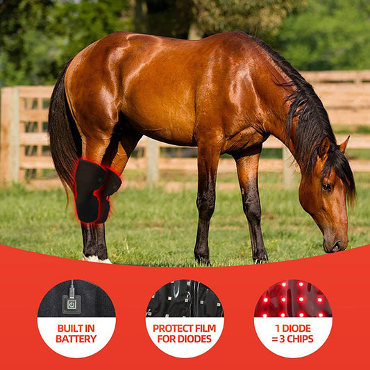 Gourixin control panel showing 660nm and 850nm options for horses