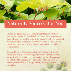 Green Dragon Botanicals gluten-free vegetarian badge on capsule packaging