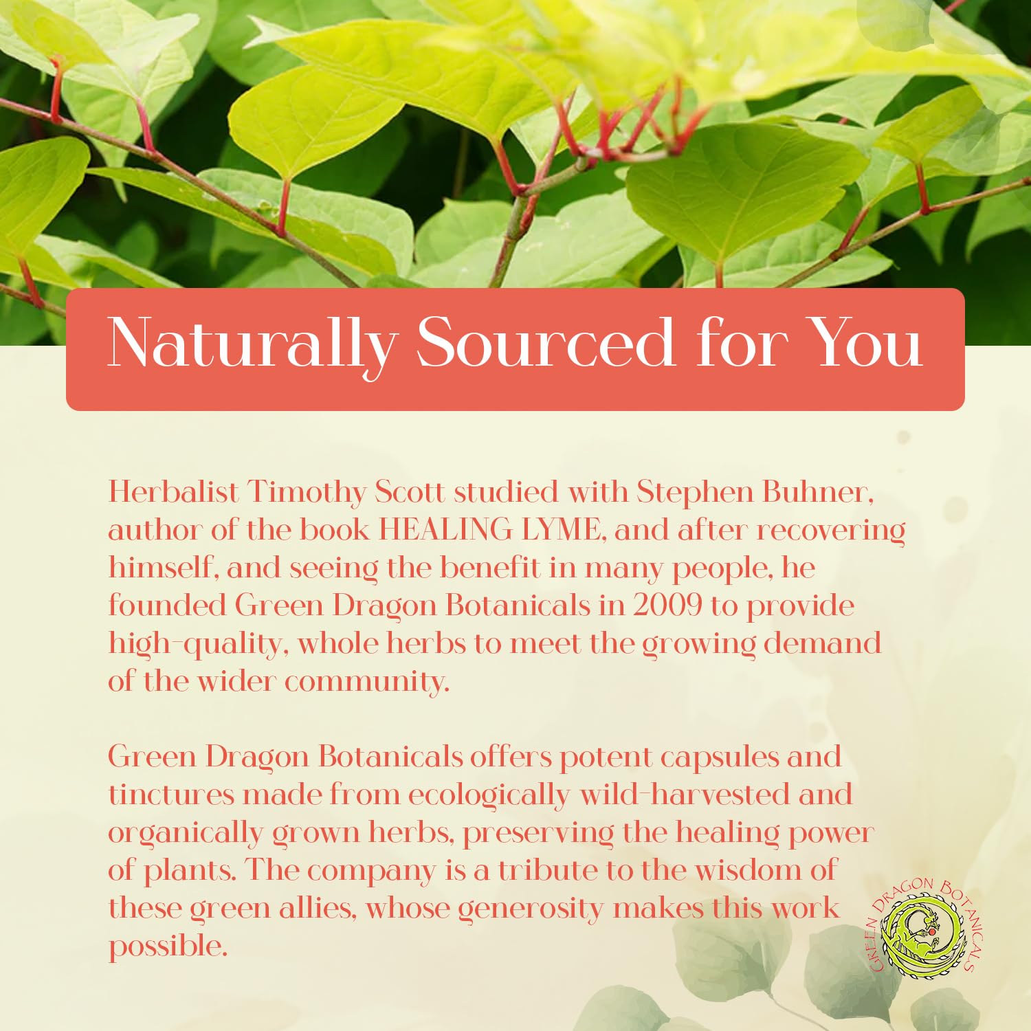 LB CORE packaging from Green Dragon Botanicals emphasizes vegetarian, gluten-free formula.