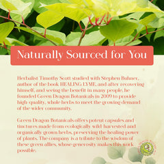 LB CORE packaging from Green Dragon Botanicals emphasizes vegetarian, gluten-free formula.