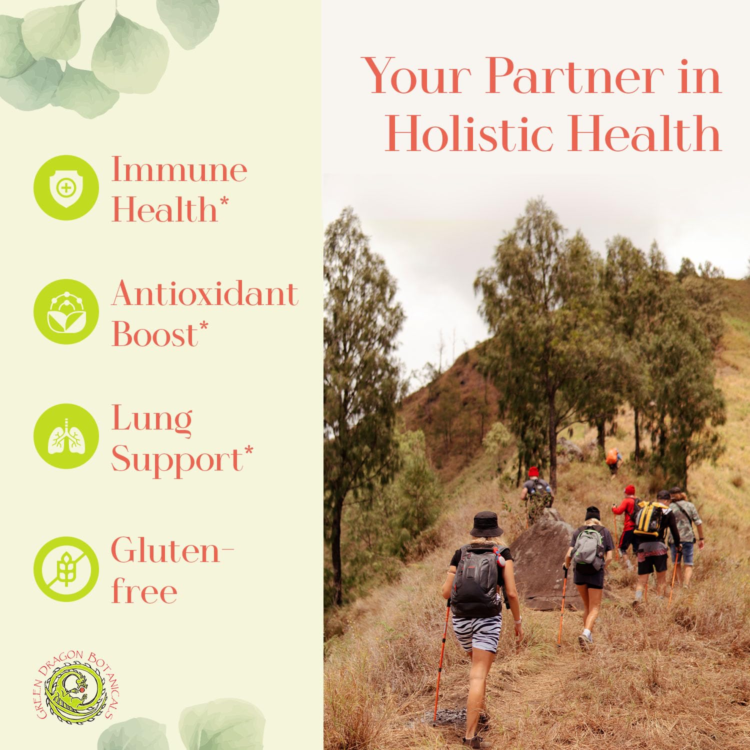 MangoForte capsules close-up highlighting mangiferin content for antioxidant use