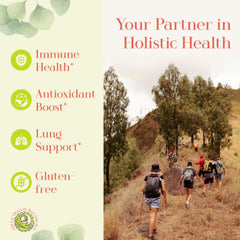 MangoForte capsules close-up highlighting mangiferin content for antioxidant use