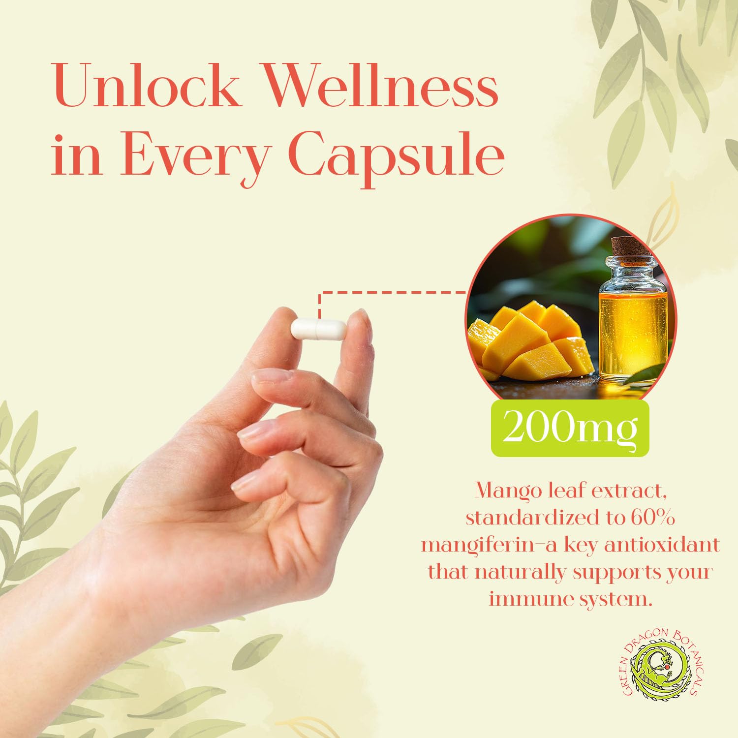 Green Dragon Botanicals MangoForte mango leaf extract graphic emphasizes purity