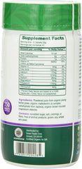 Green Foods Green Magma glass with smoothie suggesting convenient daily blend.