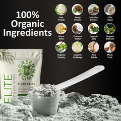 Green Regimen Elite jar closeup reveals organic vegan protein ingredients
