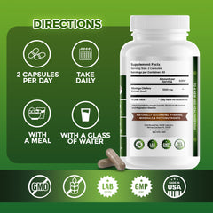 GreeNatr energy-focused setup for busy professionals and students.
