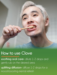 Relaxing atmosphere with GreenHealth clove oil in a diffuser.