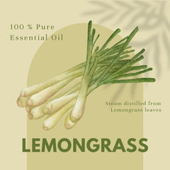 GreenHealth Lemongrass essential oil aluminum bottle with protective packaging.