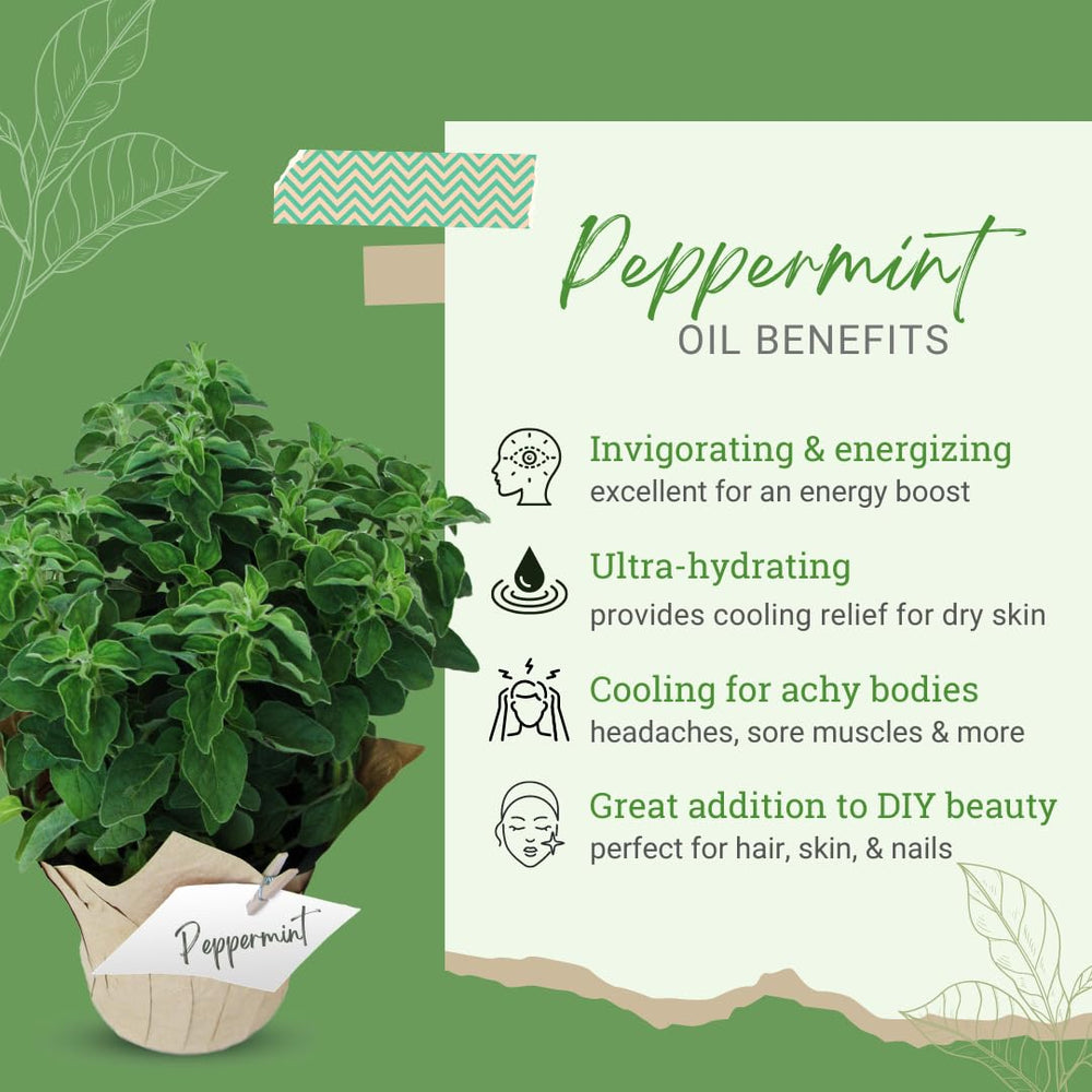 GreenHealth peppermint oil in diffuser highlights refreshing aroma for a space
