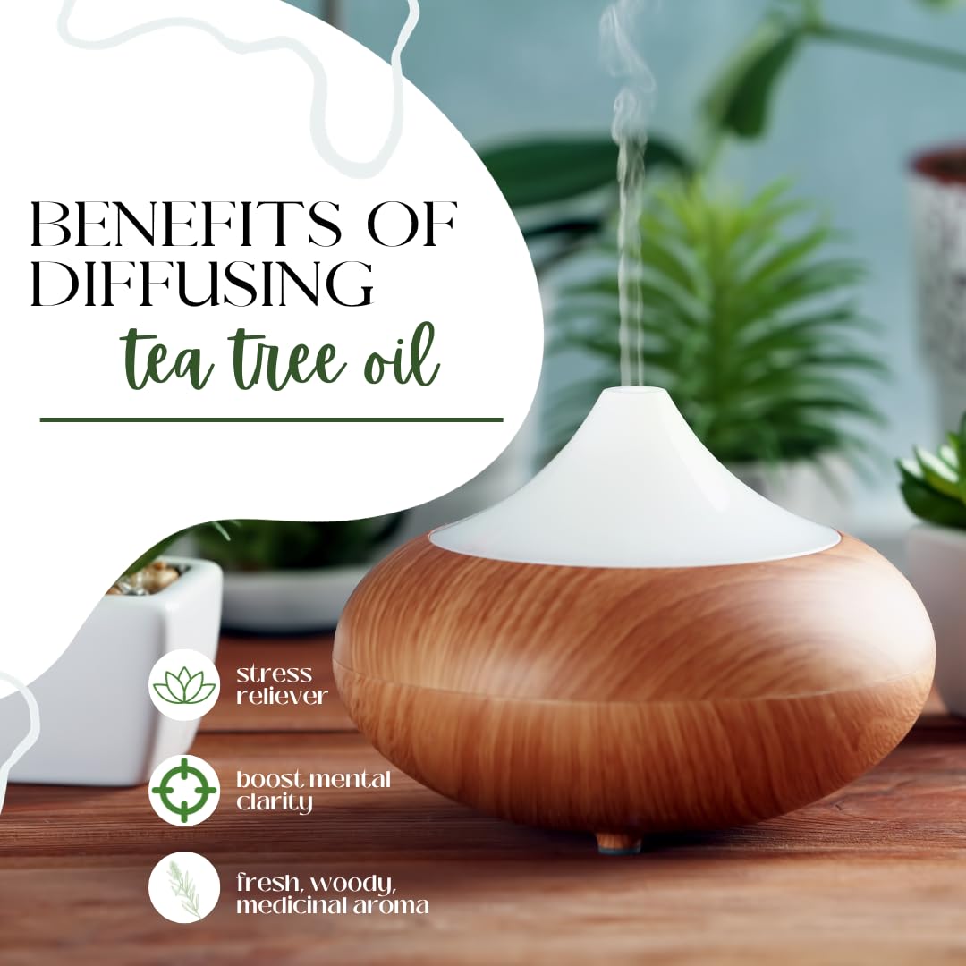 Tea Tree Oil in diffuser releasing a fresh herbal aroma