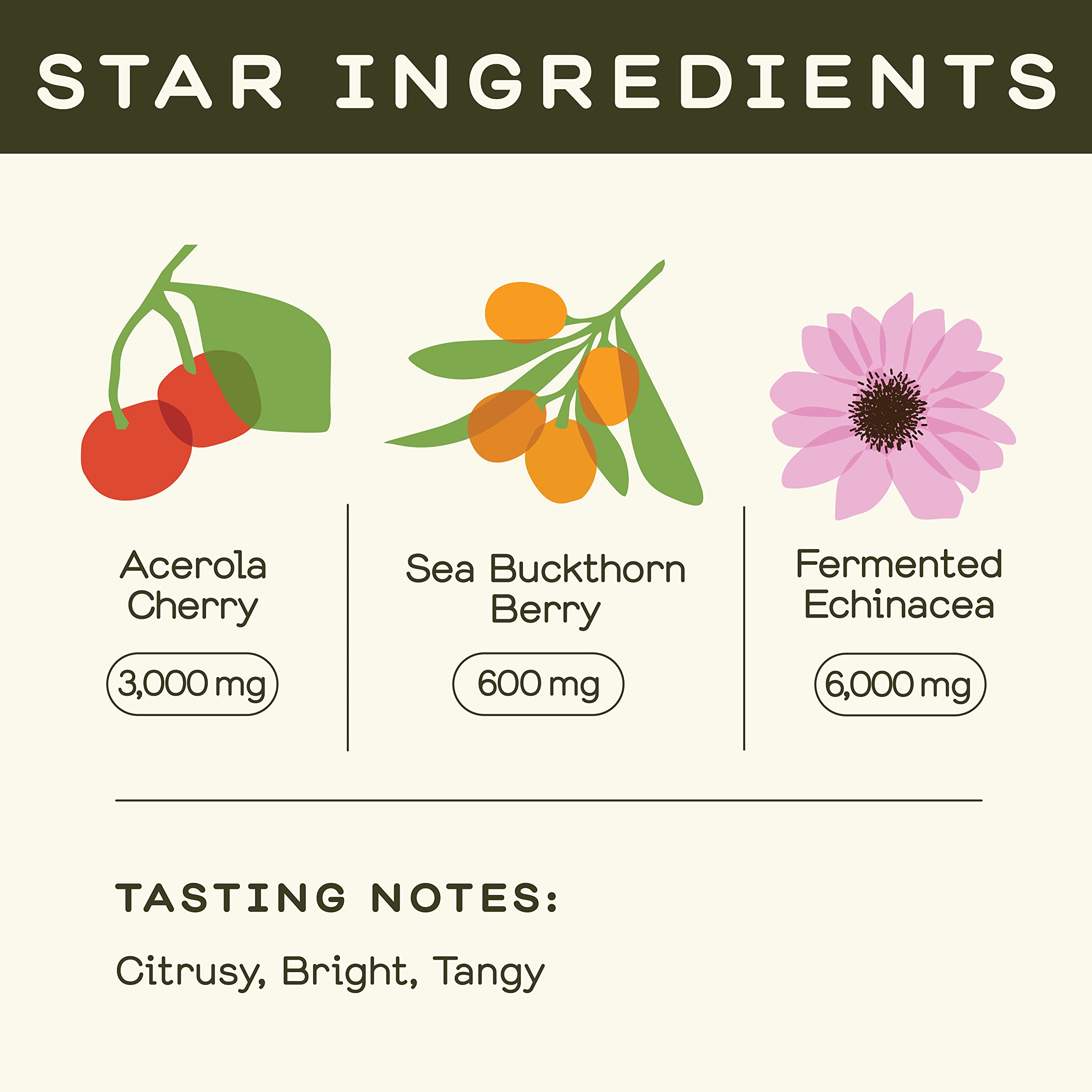 Greenhouse Juice Co fermented echinacea glass bottle highlighting natural blend