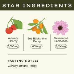 Greenhouse Juice Co fermented echinacea glass bottle highlighting natural blend