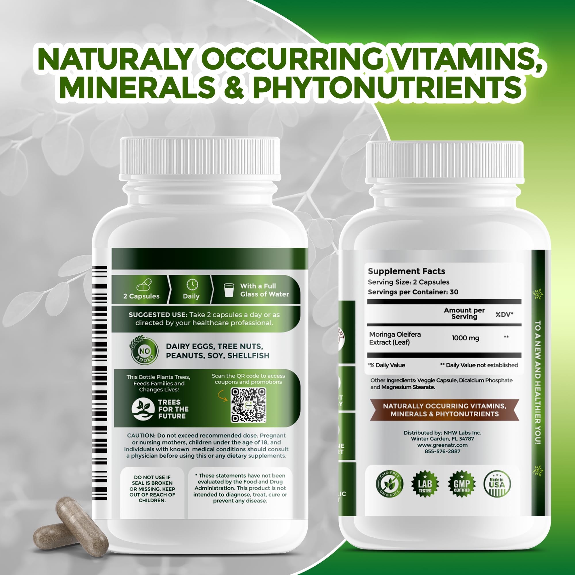 GreeNatr digestive wellness scene hints balanced digestion.