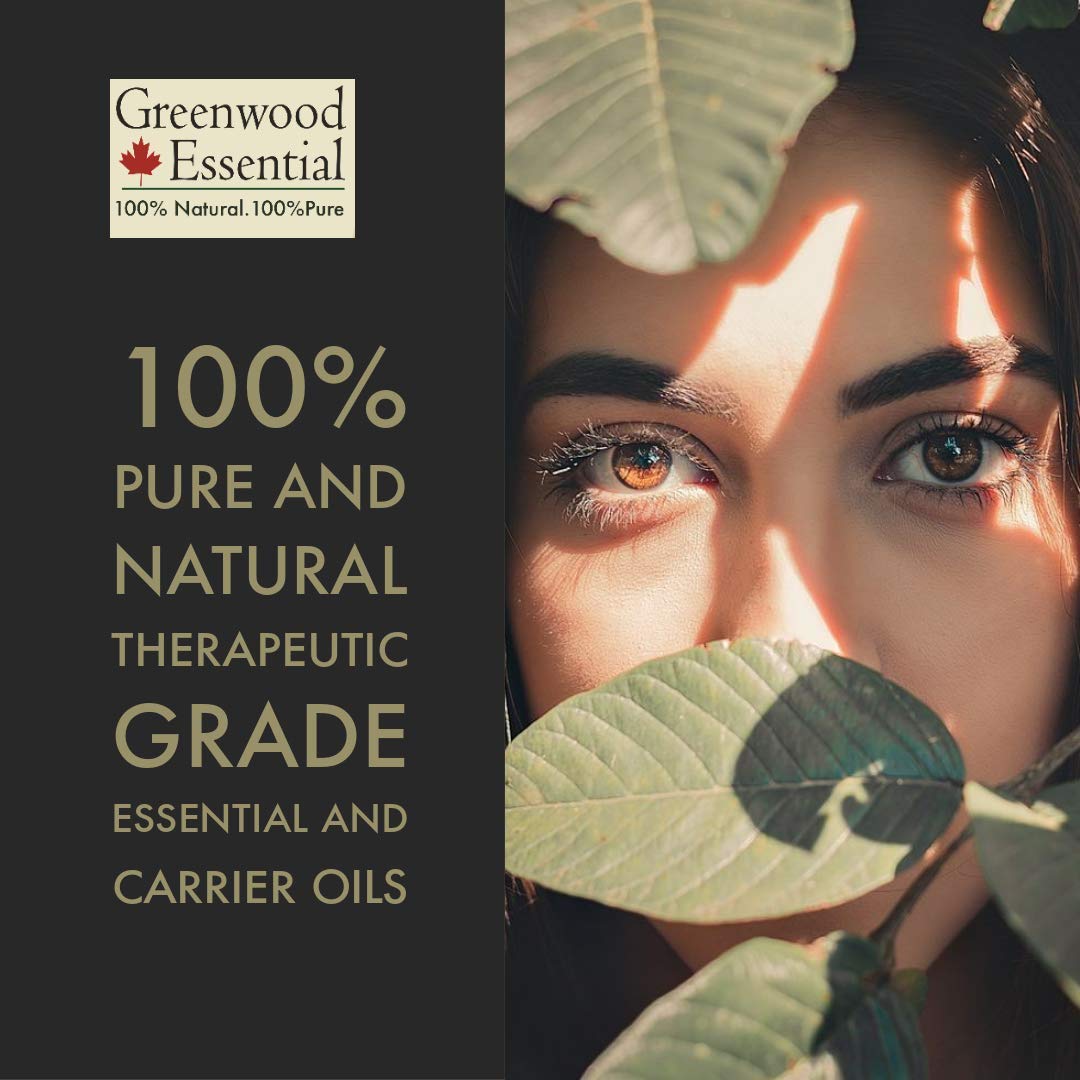 Greenwood Essential Wormwood Oil steam-distilled for pure concentration.