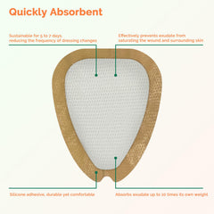 Greetmed Sacrum Foam Dressing absorbent foam core locks exudate and protects surrounding skin.