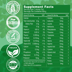 Grenera Moringa Powder in a smoothie glass, boosting greens.