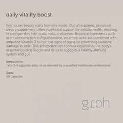 Groh ErgoD2 ingredient blend highlighted for antioxidant support.