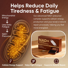 GROHESE NAD+ vials pack displayed for travel-friendly supplementation.