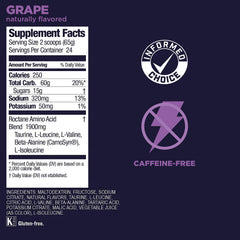 GU Energy Roctane grape jar front highlights vegan, gluten-free endurance option.