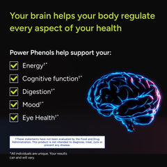 Power Phenols ingredients panel with BrainPhyt fucoxanthin and ThymoQuin oil