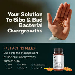 Gut Armor dosage schedule image showing 60 capsules for two months.