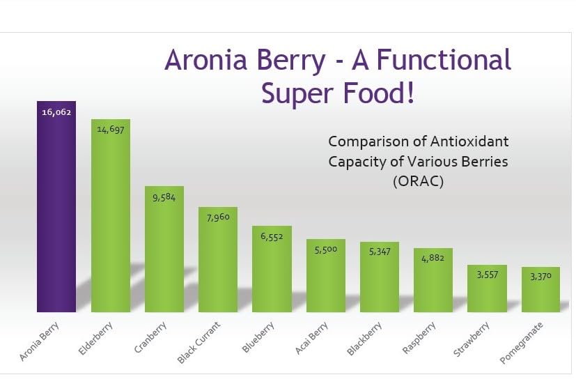 GUT BAR Aronia powder in a glass of water after meals