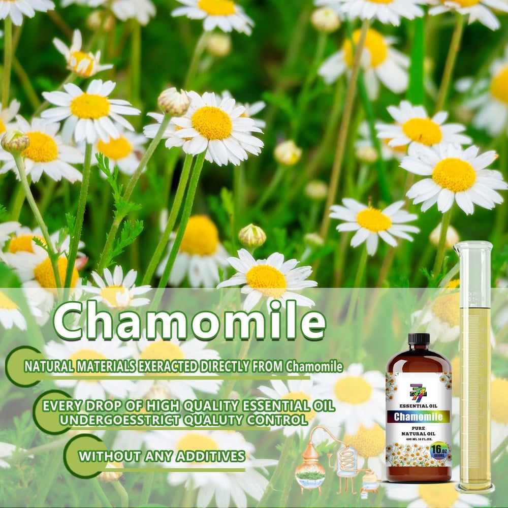 GV77ZF Chamomile Essential Oil shown for diffuser aroma setup