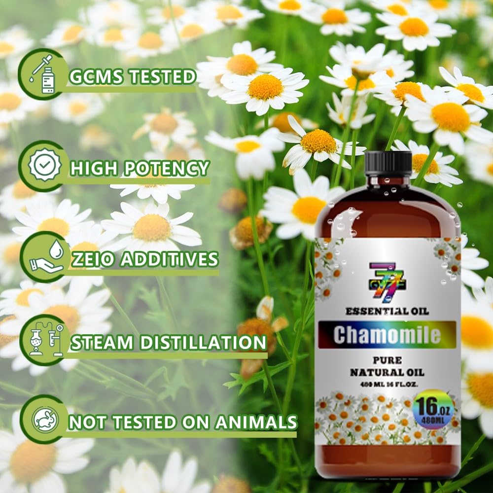GV77ZF Chamomile Essential Oil bottle with label close-up and UV protection