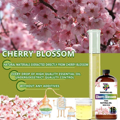 GV77ZF Cherry Blossom space for yoga and meditation with soft floral notes