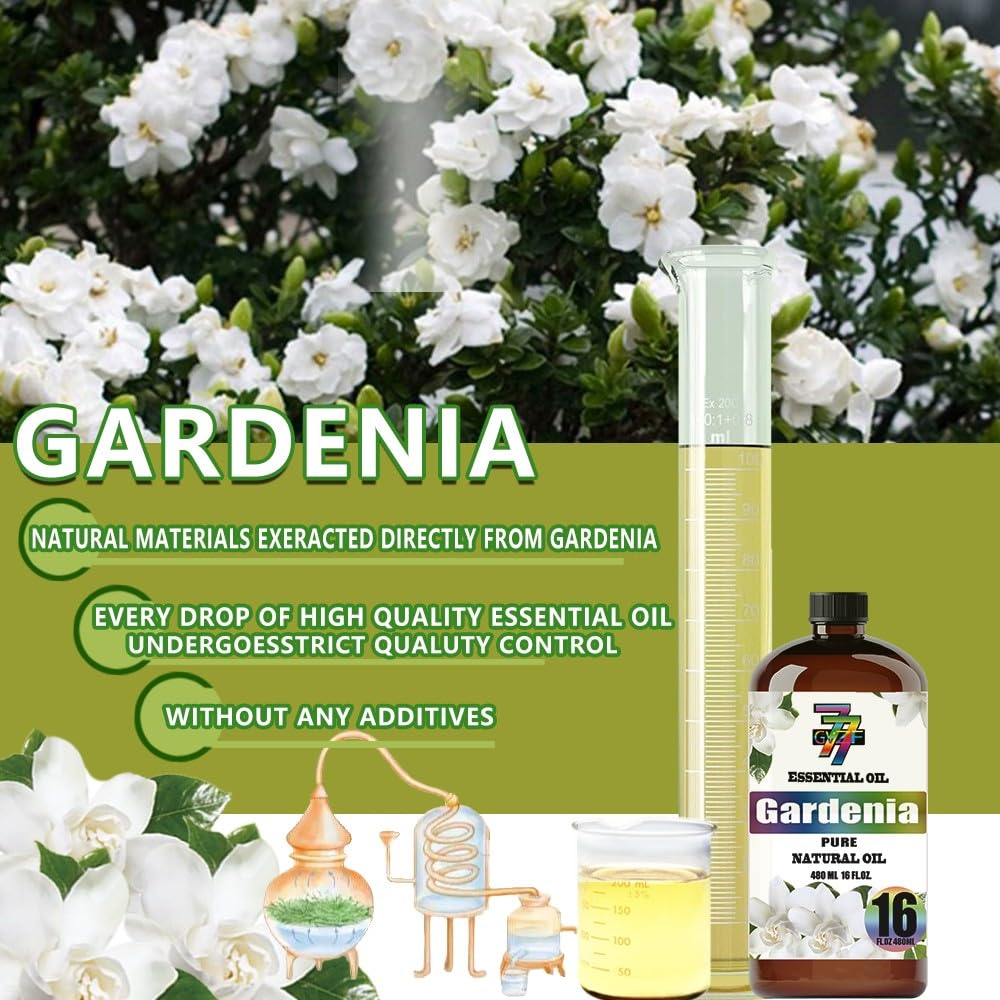 GV77ZF Gardenia essential oil for yoga and meditation sets calming mood