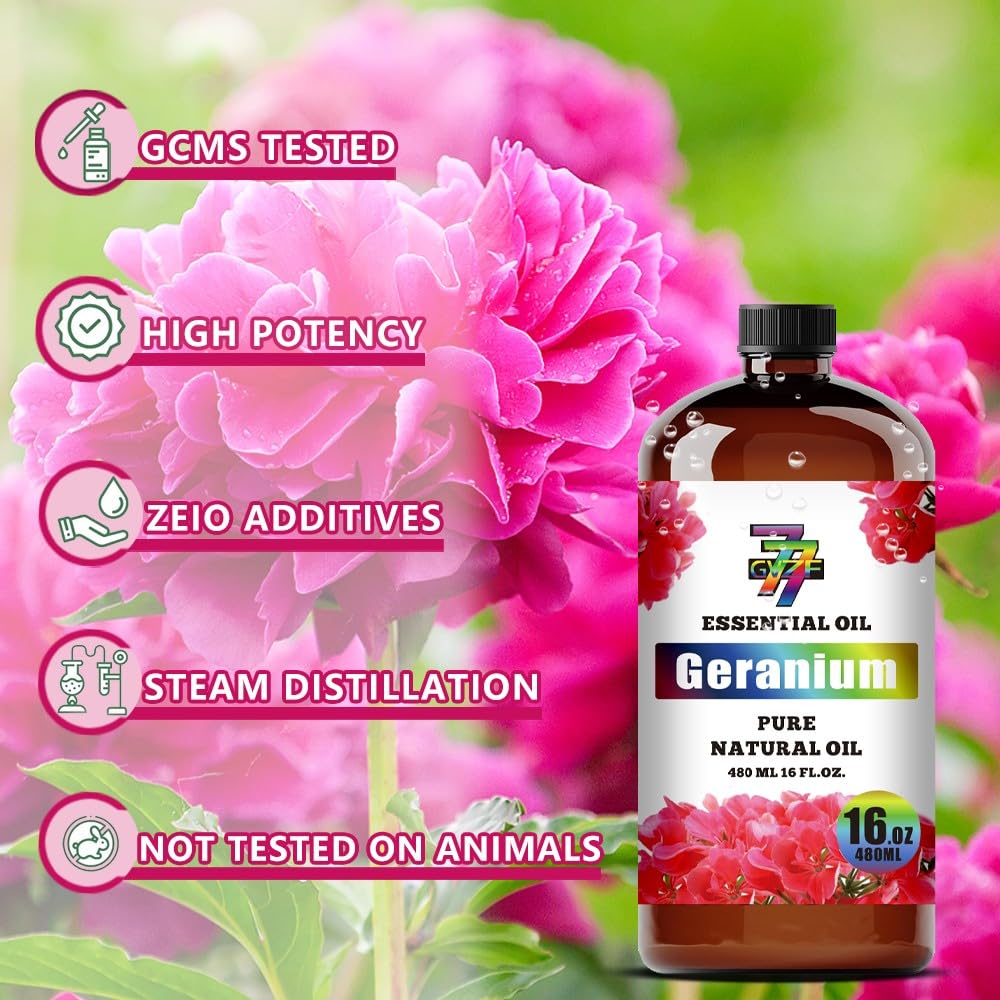 GV77ZF Geranium essential oil in a large bottle offering value and longevity.