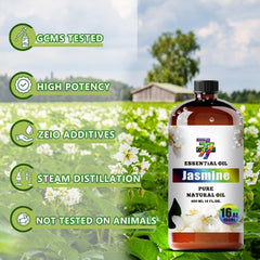 GV77ZF Jasmine oil ideal for humidifiers and room diffusion