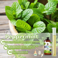 GV77ZF peppermint oil in cleaning products for minty freshness
