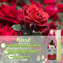 GV77ZF Rose Essential Oil for massage and skincare crafts