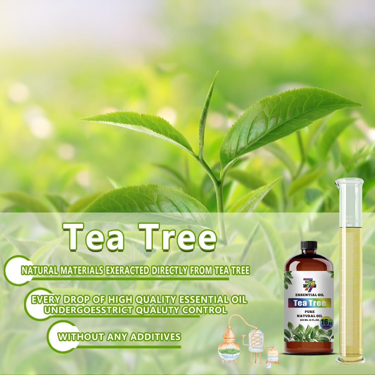 GV77ZF Tea Tree oil supports calming yoga and meditation spaces.