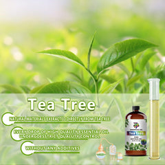 GV77ZF Tea Tree oil supports calming yoga and meditation spaces.