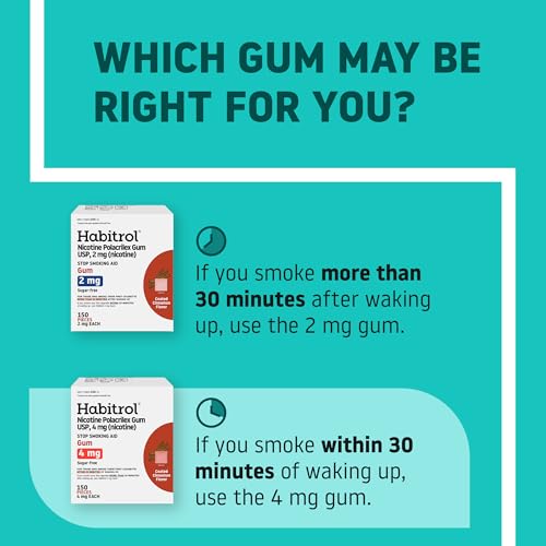 Habitrol Cinnamon gum being parked between cheek and gum during use
