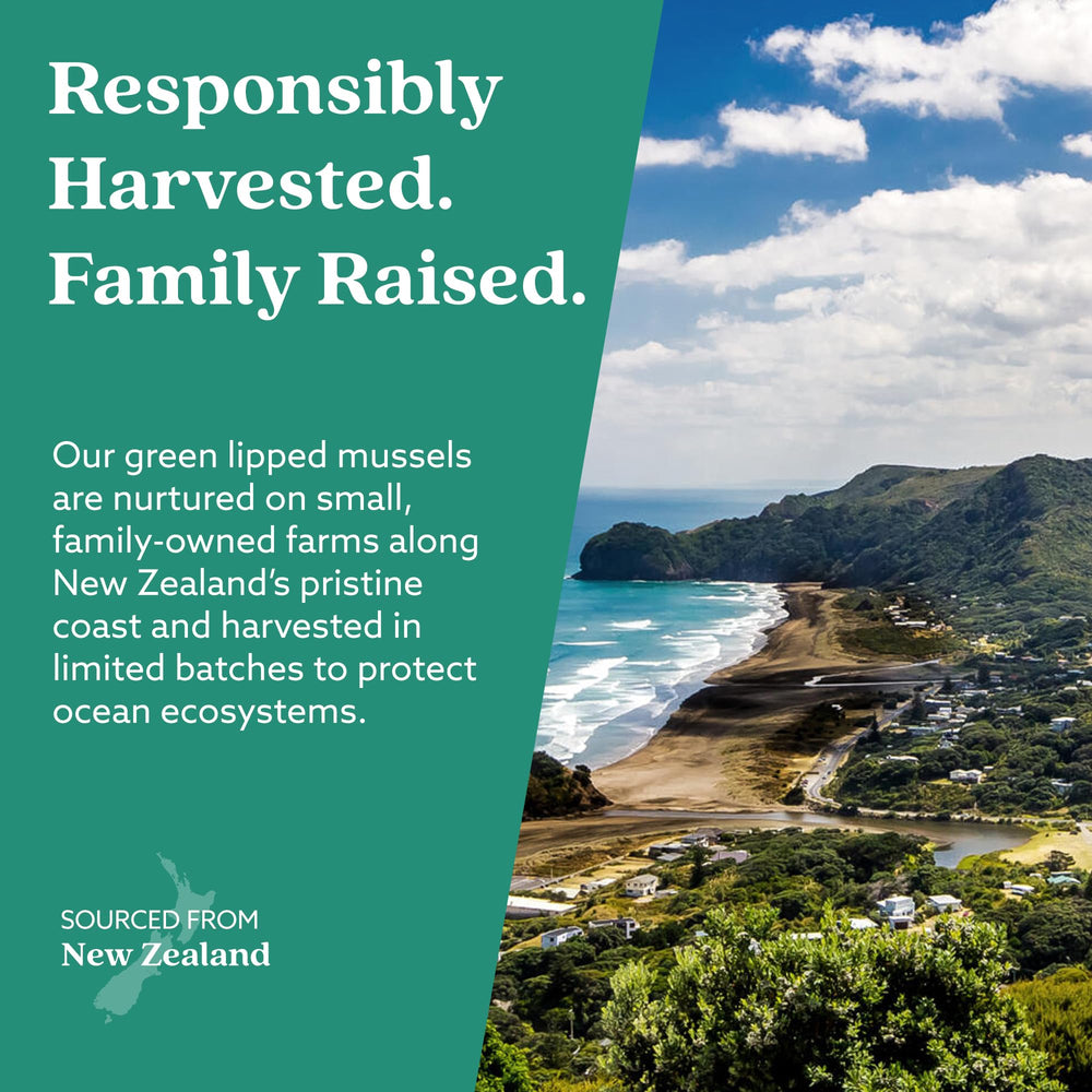 HAKA GLX3 sustainably farmed mussels underscore ethical sourcing and quality