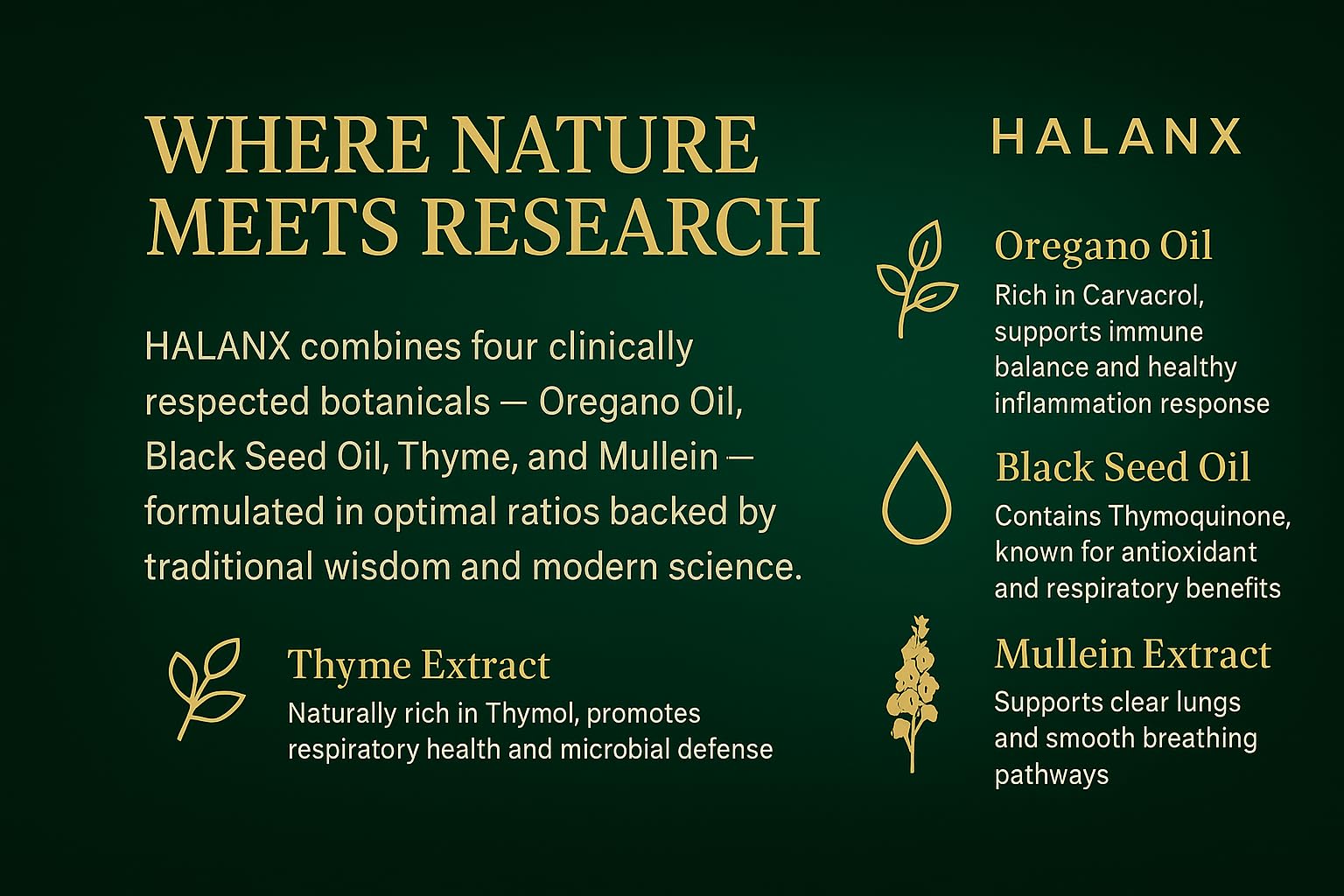 Halanx Oil of Oregano Softgels bottle cap sealing for freshness and safety.