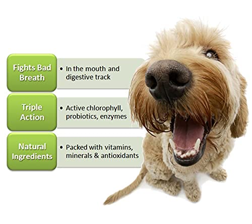 Hank and Harley Fresh Breath TABS chew tablet close up highlighting chlorophyll and mint for fresher breath.