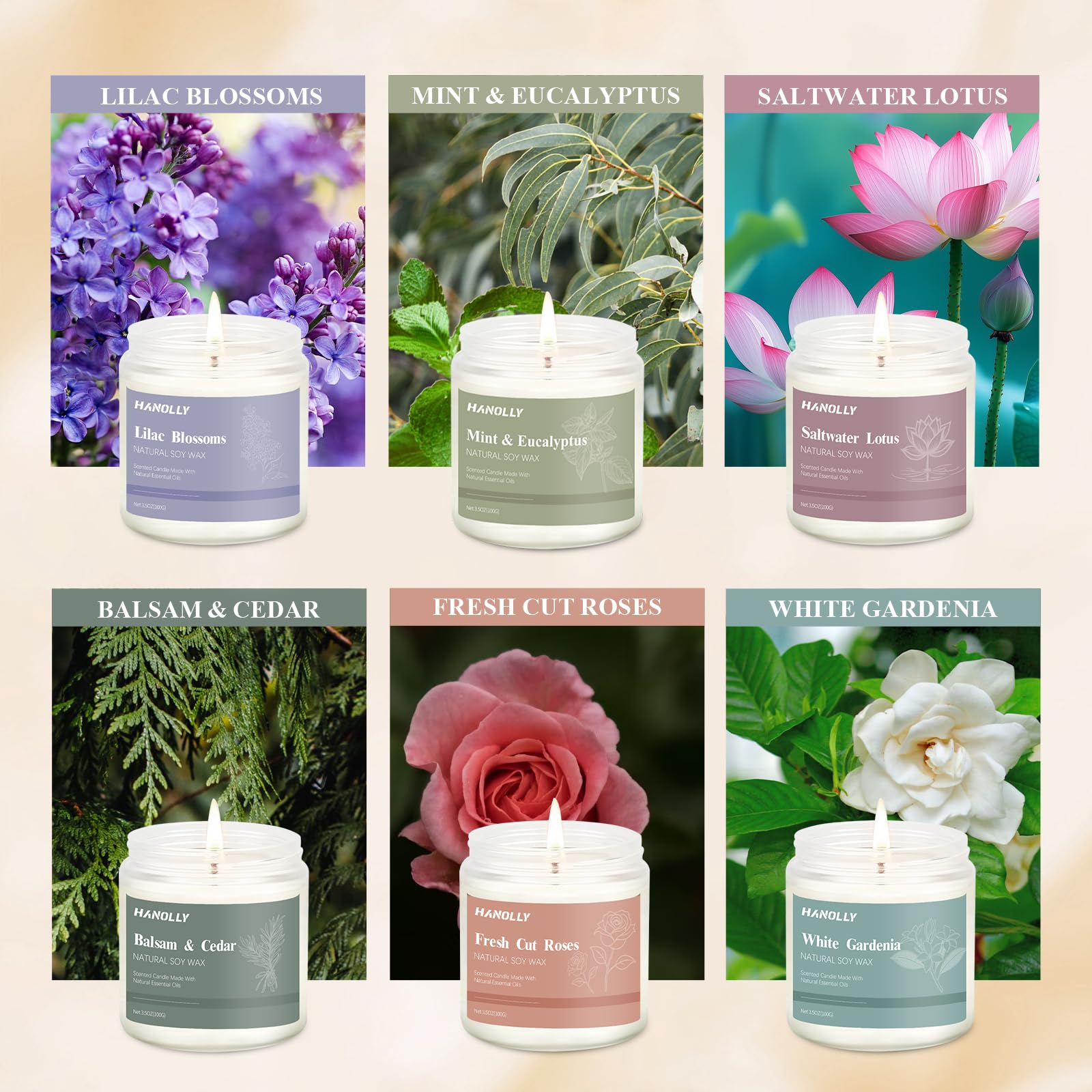 Hanolly 12-pack candles Lavender Oak visual promotes calm evenings.