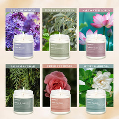 Hanolly 12-pack candles Lavender Oak visual promotes calm evenings.