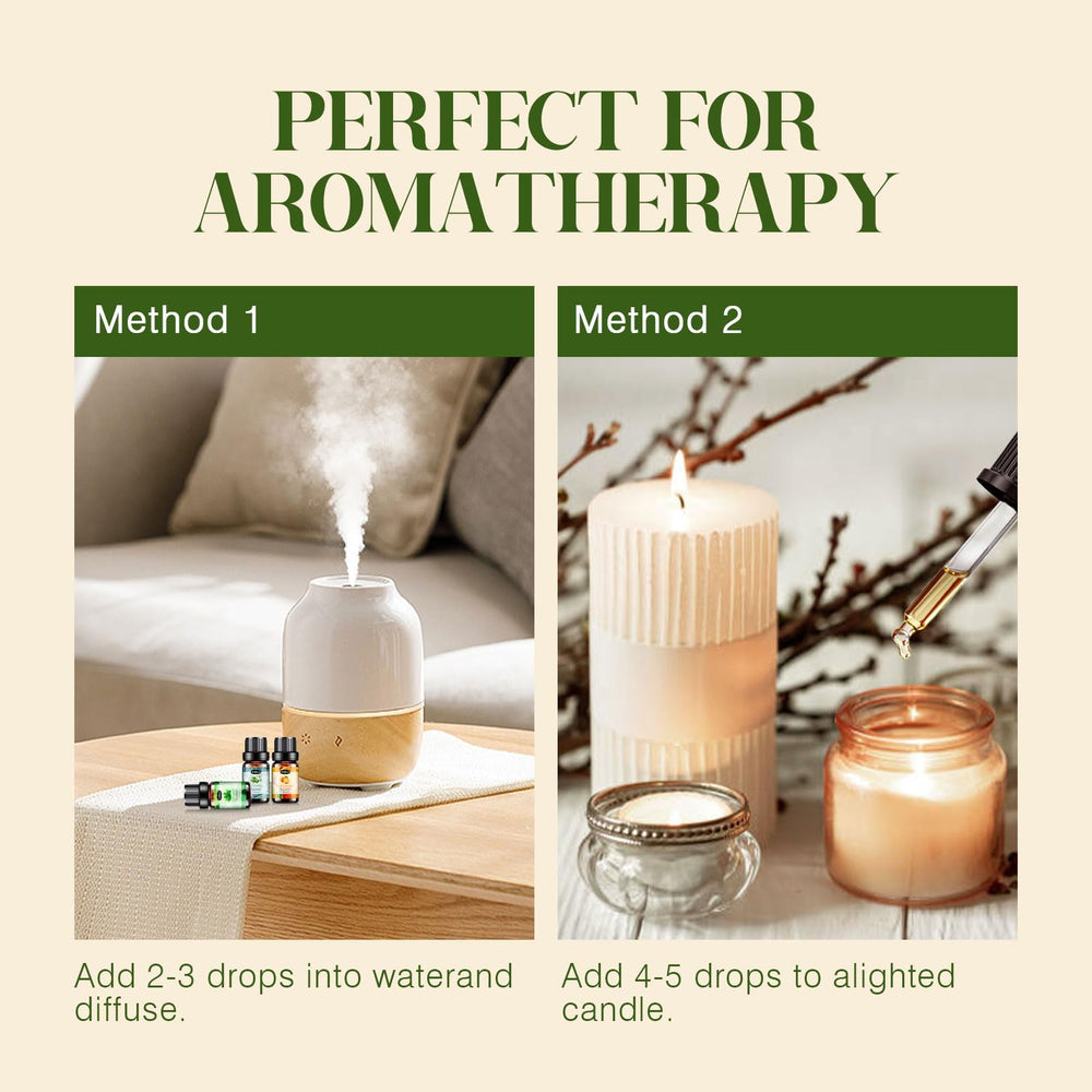 Hanolly oils in skincare routine for nourishing care and blending potential.